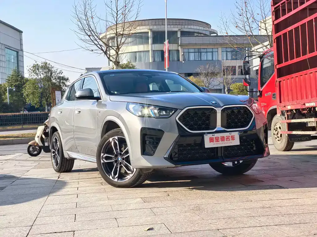 BMW X2 (Import) 2024 из CN, фото 9