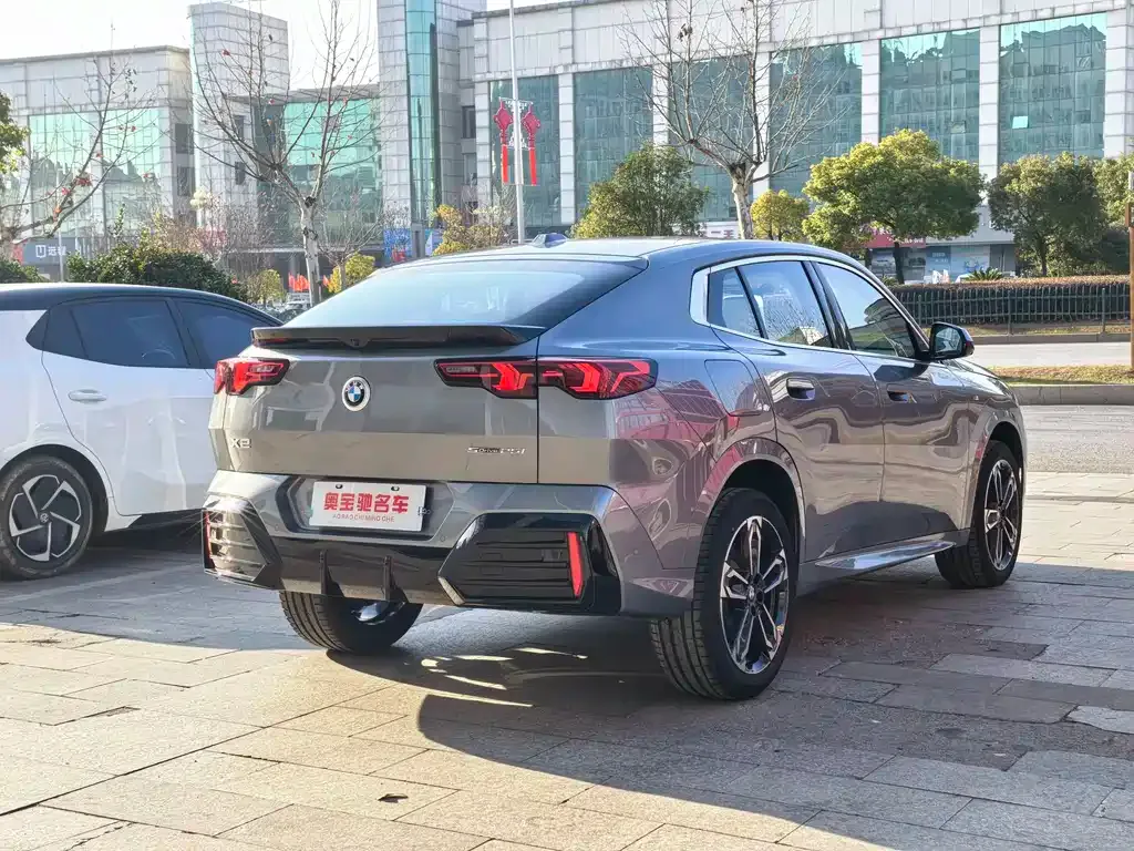 BMW X2 (Import) 2024 из CN, фото 6