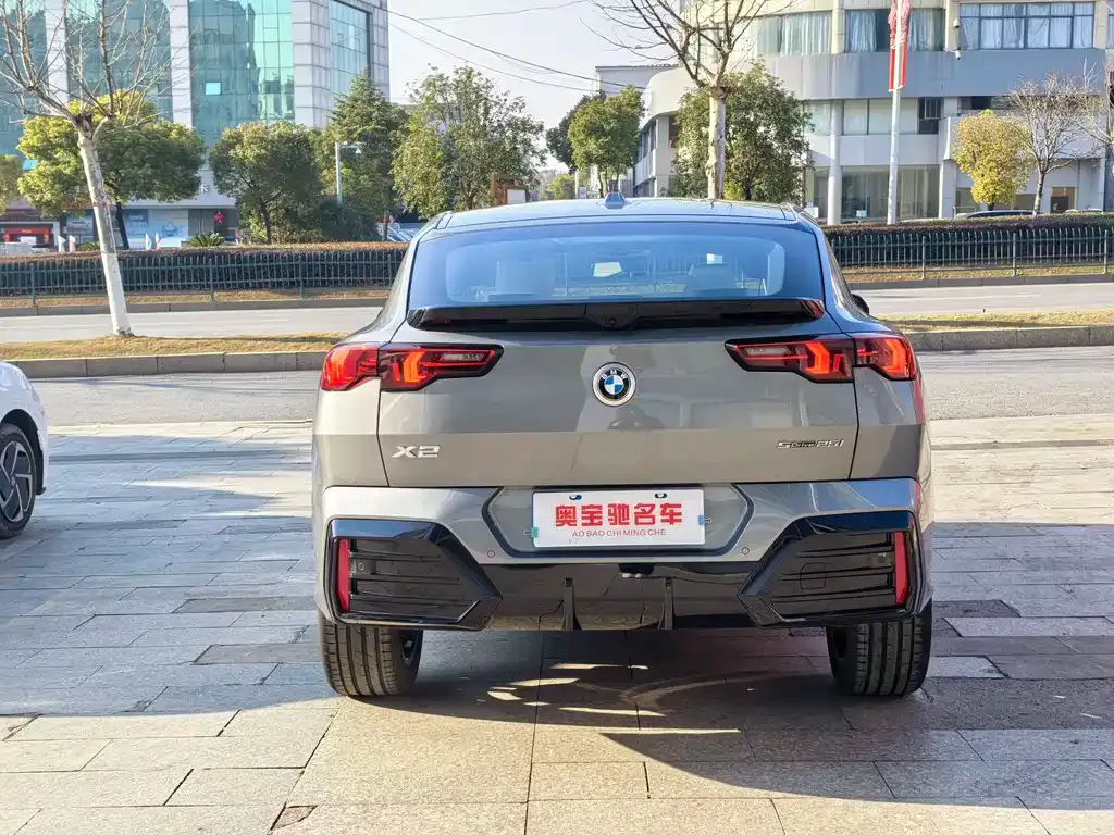 BMW X2 (Import) 2024 из CN, фото 5