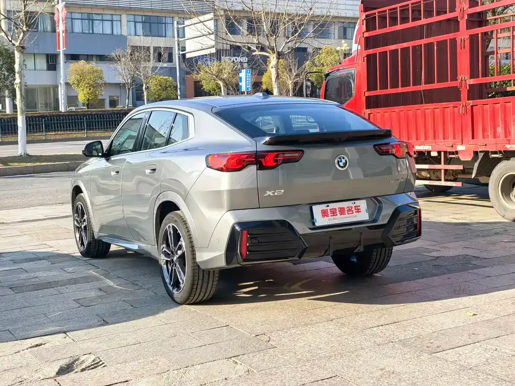 BMW X2 (Import) 2024 из CN, фото 8