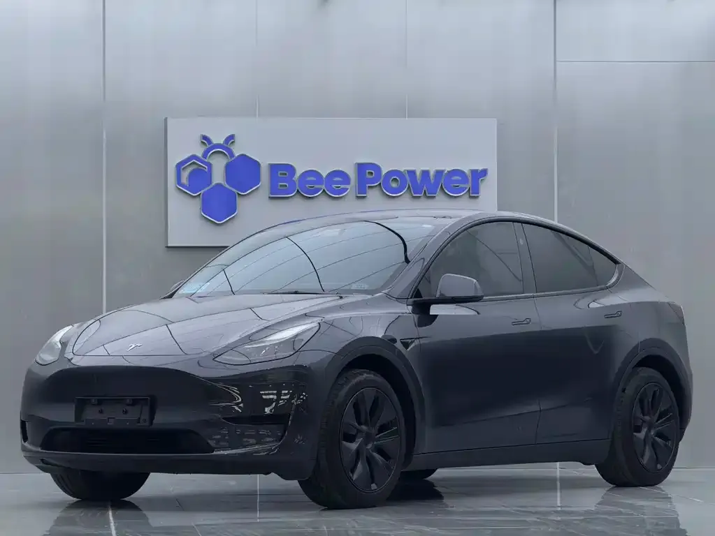 Tesla Model Y 2024 из CN, фото 1