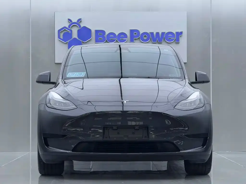 Tesla Model Y 2024 из CN, фото 3