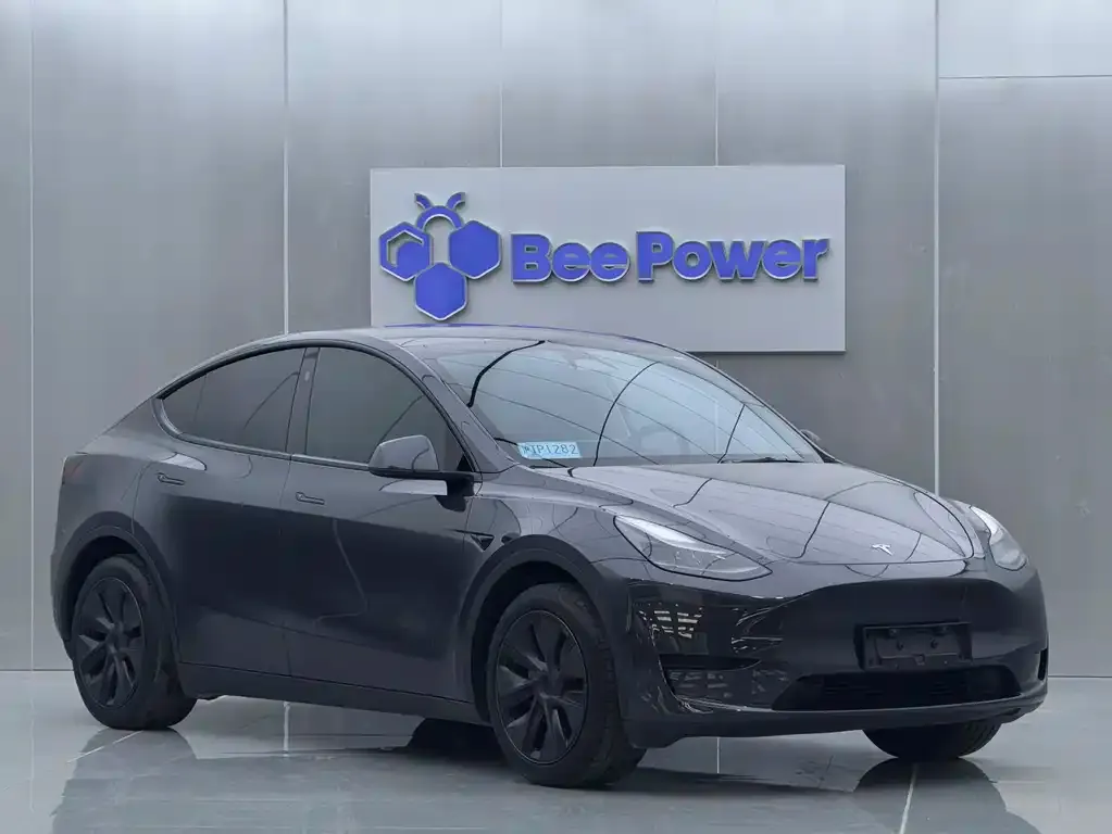 Tesla Model Y 2024 из CN, фото 9
