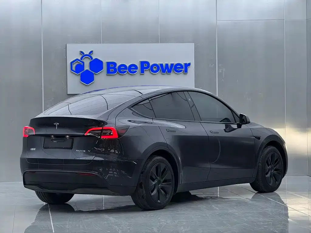 Tesla Model Y 2024 из CN, фото 7