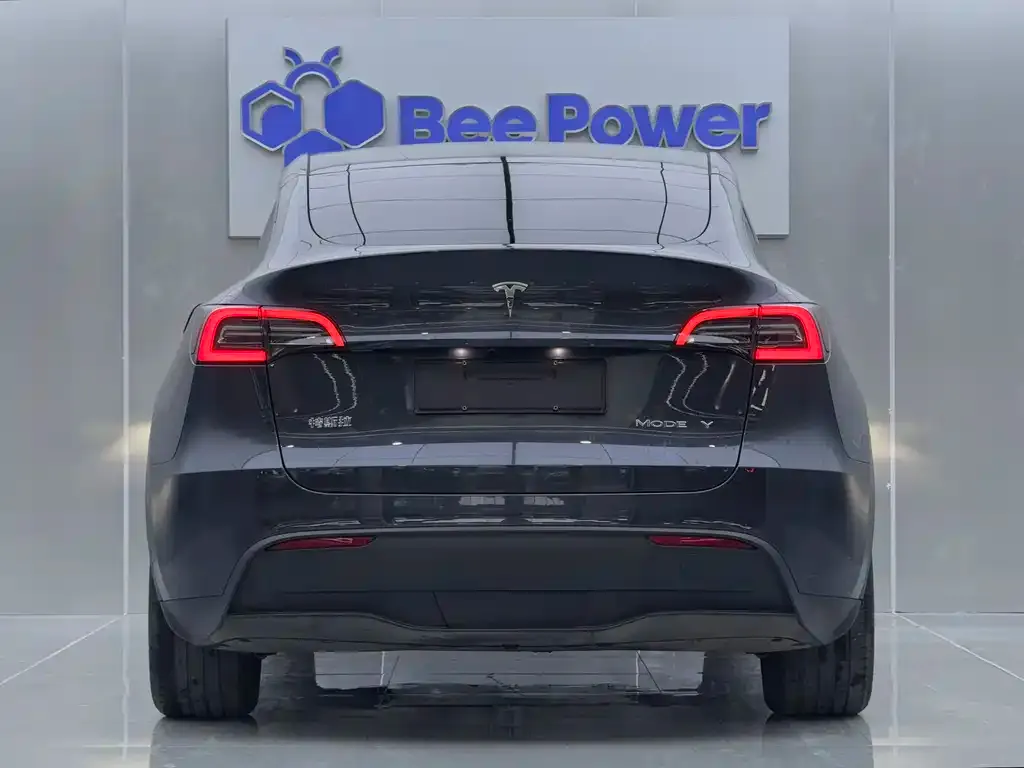 Tesla Model Y 2024 из CN, фото 4
