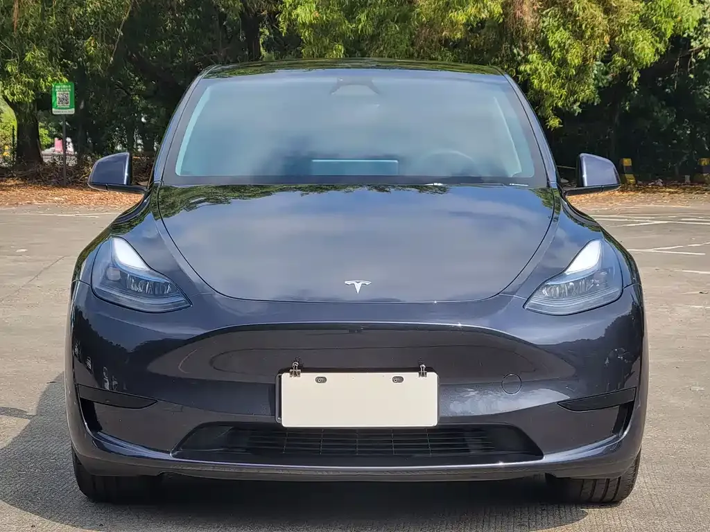 Tesla Model Y 2024 из CN, фото 6
