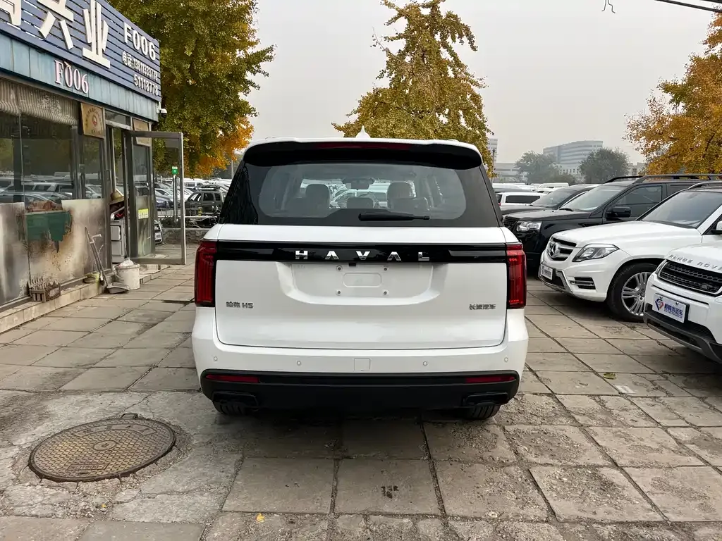 Haval H5 2025 из CN, фото 8