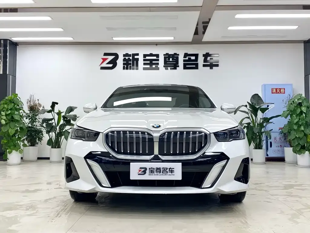 BMW 5 Series 2025 из CN, фото 5