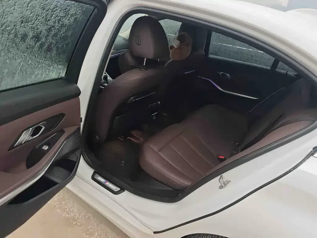 BMW 3 Series 2021 из CN, фото 4