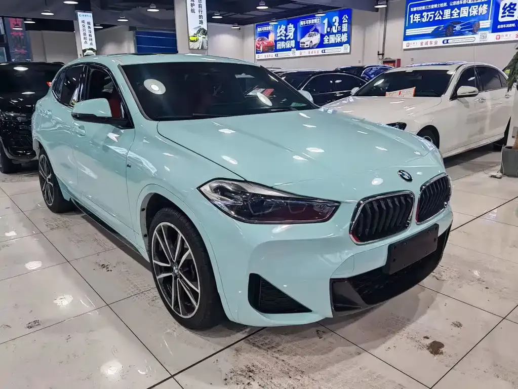 BMW X2 2021 из CN, фото 1