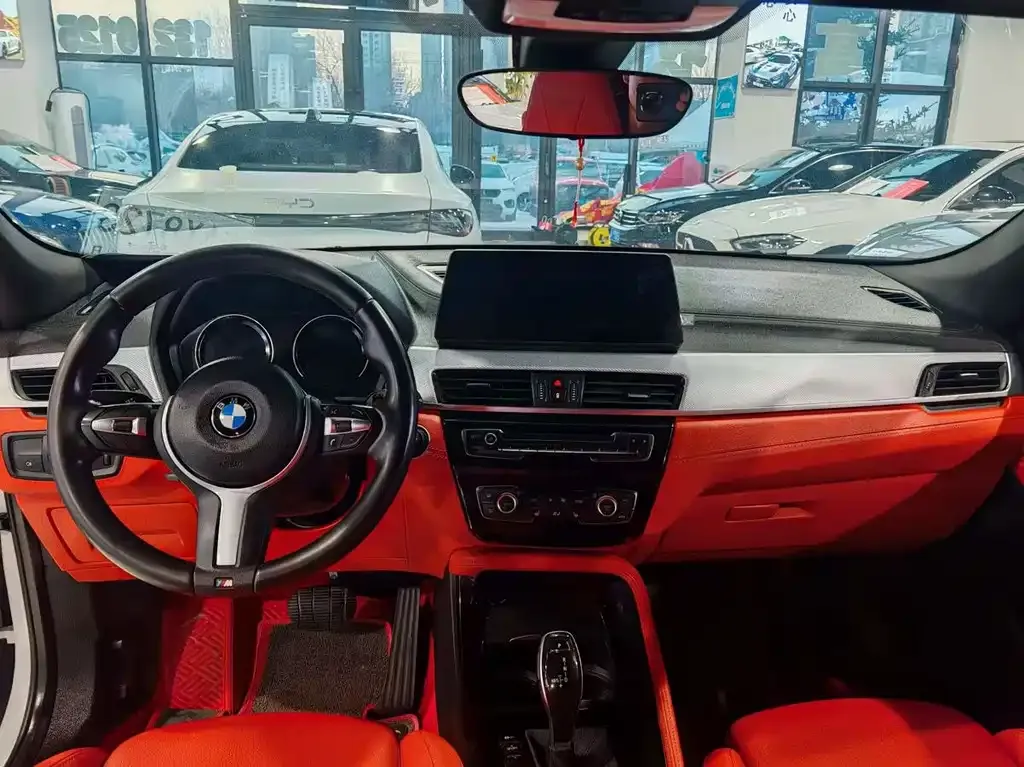 BMW X2 2021 из CN, фото 5