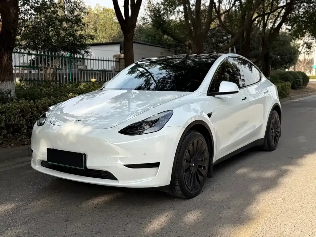 Tesla Model Y 2022 из CN, фото 1