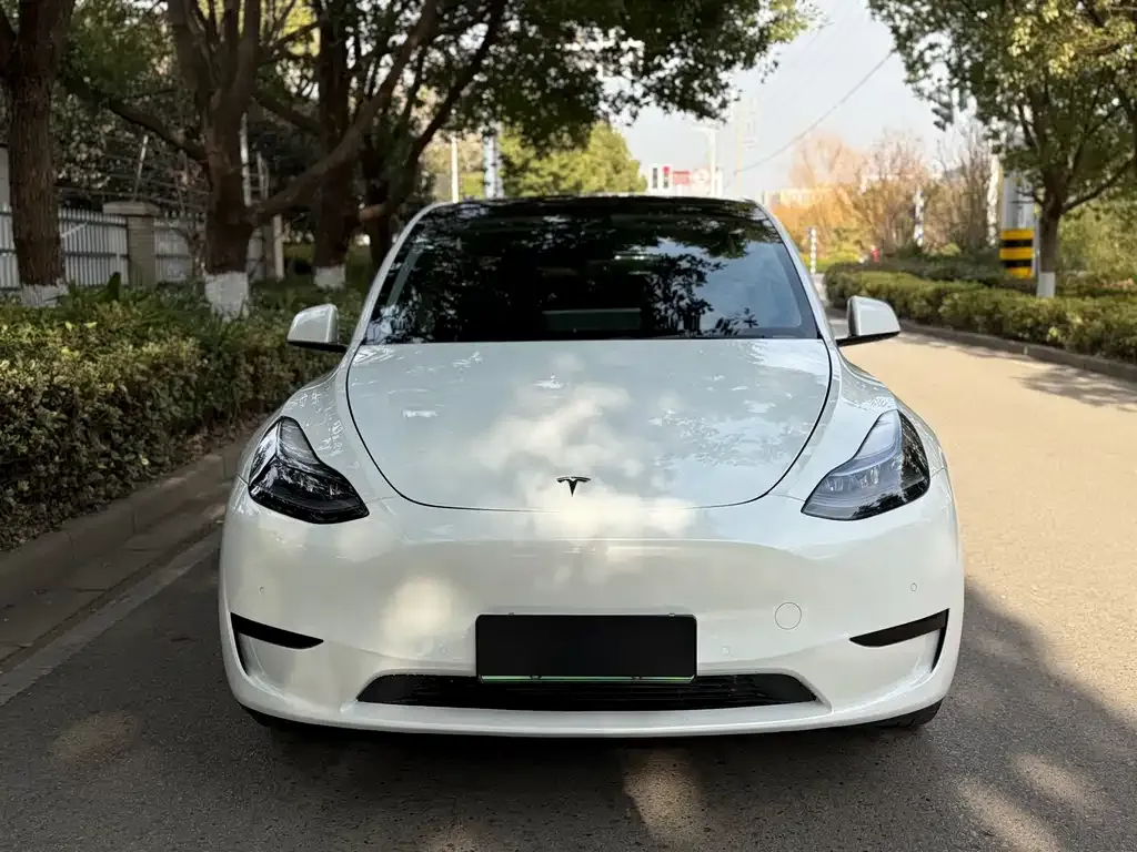 Tesla Model Y 2022 из CN, фото 7