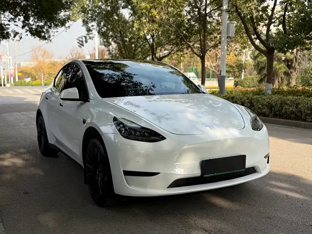 Tesla Model Y 2022 из CN, фото 8