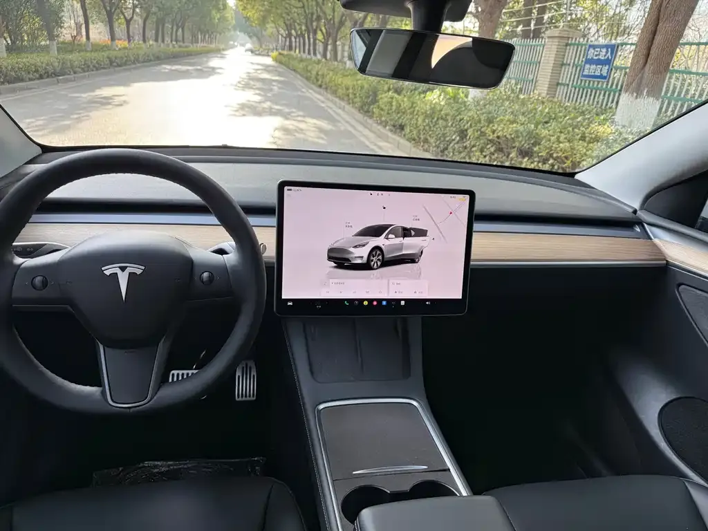 Tesla Model Y 2022 из CN, фото 6