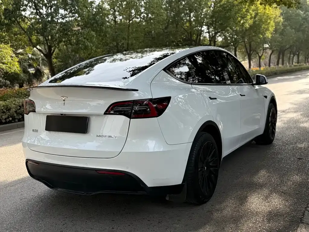 Tesla Model Y 2022 из CN, фото 2
