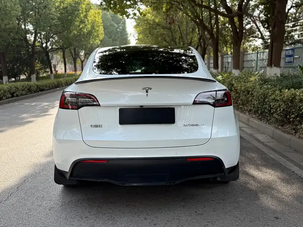 Tesla Model Y 2022 из CN, фото 4