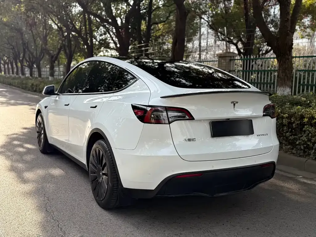Tesla Model Y 2022 из CN, фото 9