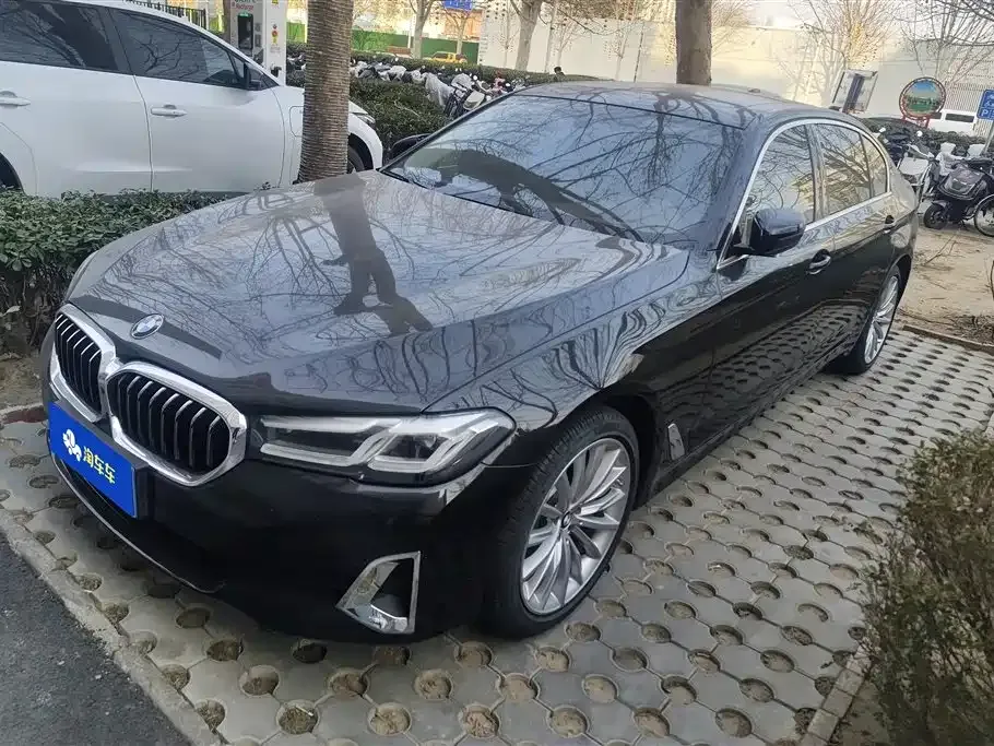 BMW 5 Series 2021 из CN, фото 1