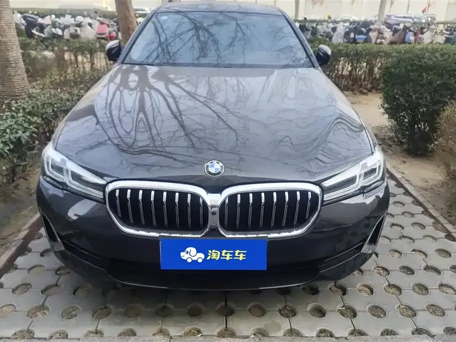 BMW 5 Series 2021 из CN, фото 3
