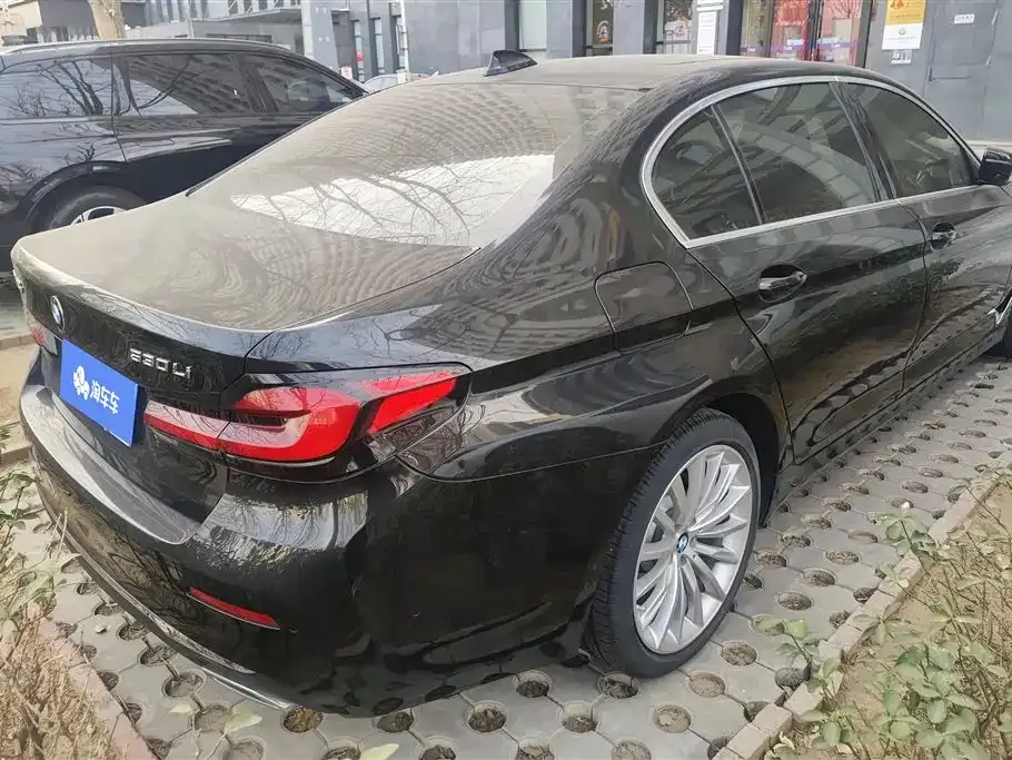 BMW 5 Series 2021 из CN, фото 2