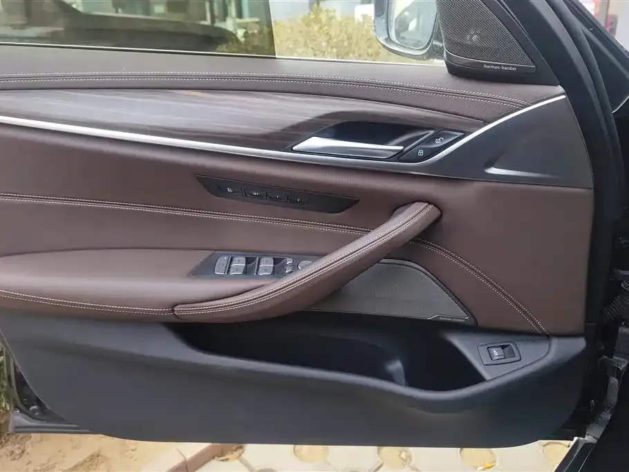 BMW 5 Series 2021 из CN, фото 9