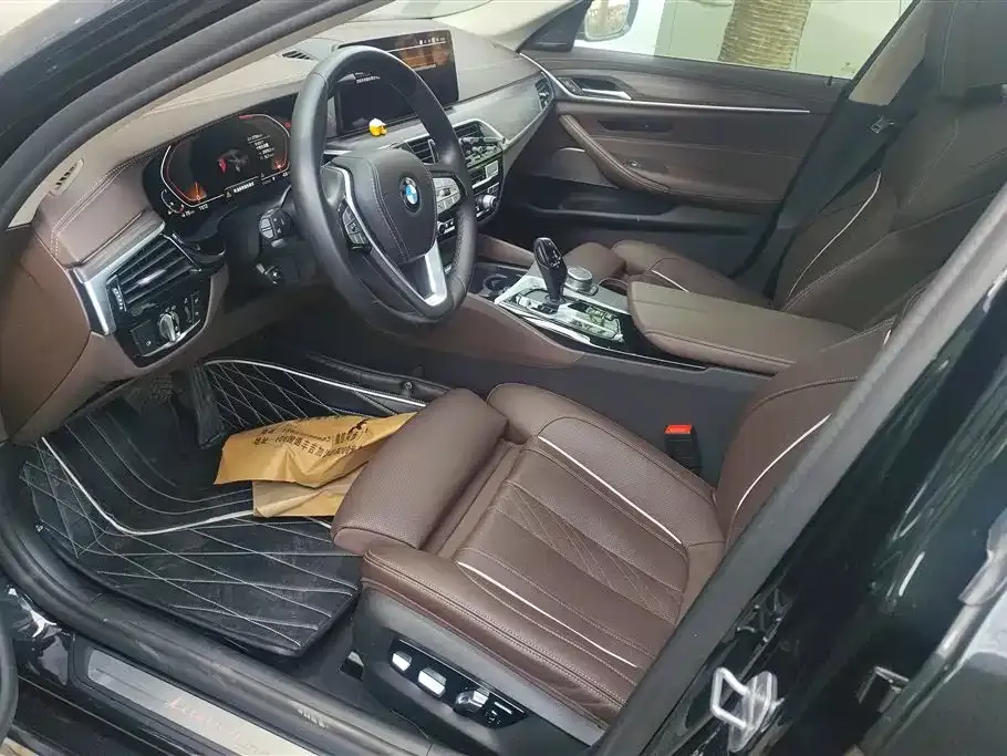 BMW 5 Series 2021 из CN, фото 7