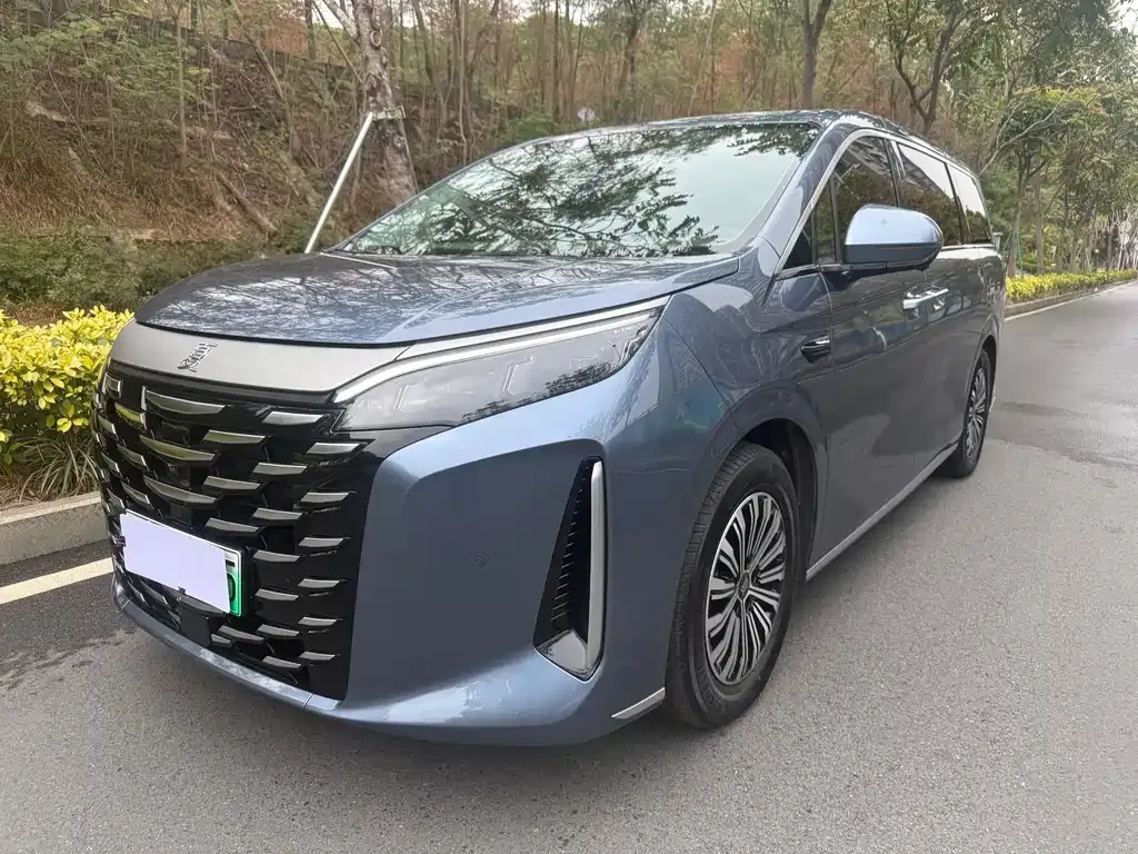 BYD Xia 2025 из CN, фото 1