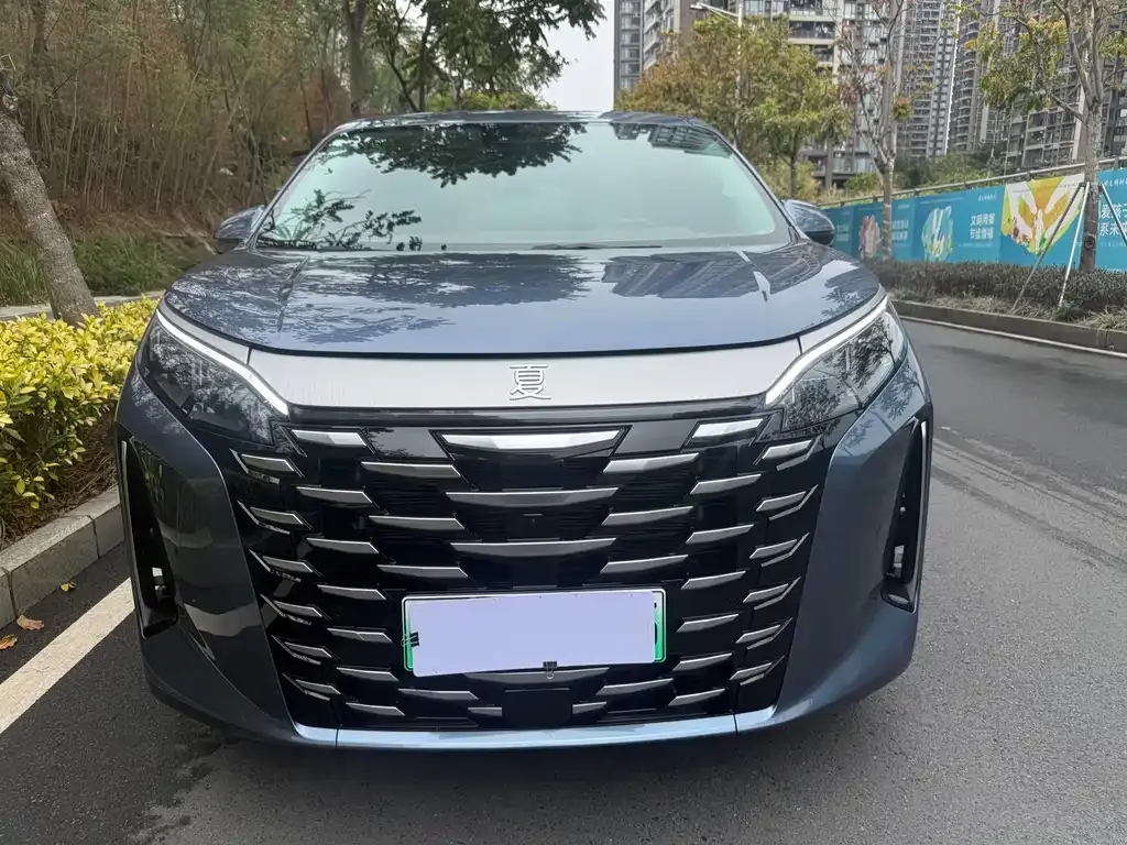 BYD Xia 2025 из CN, фото 7