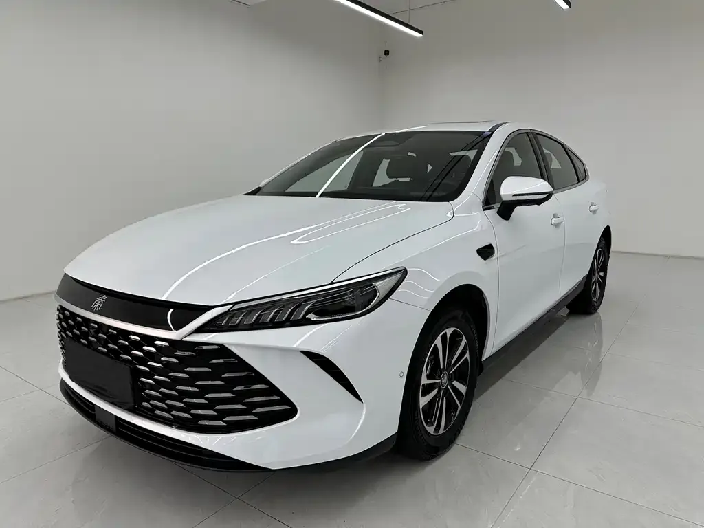 BYD Qin PLUS 2025 из CN, фото 1