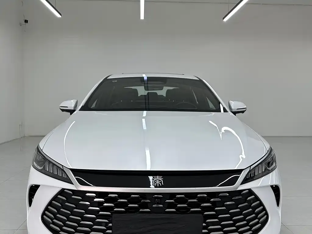 BYD Qin PLUS 2025 из CN, фото 2