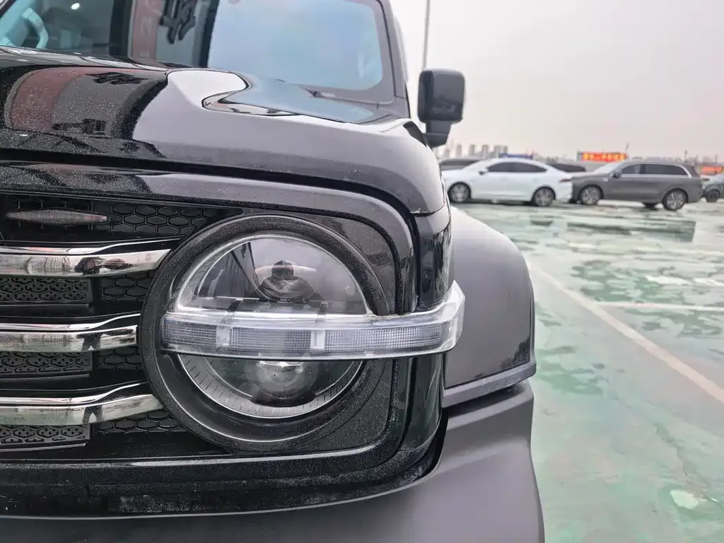 Tank 300 2023 из CN, фото 4