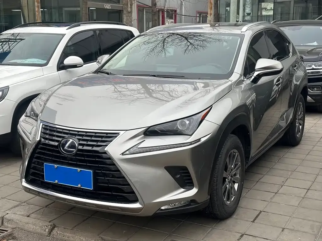 Lexus NX 2021 из CN, фото 1