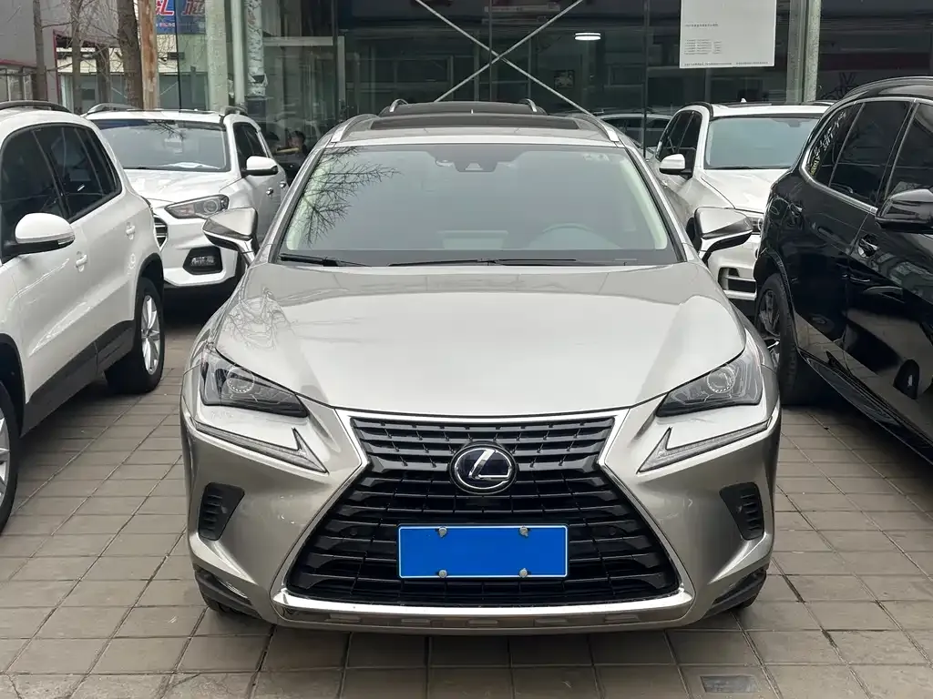 Lexus NX 2021 из CN, фото 8