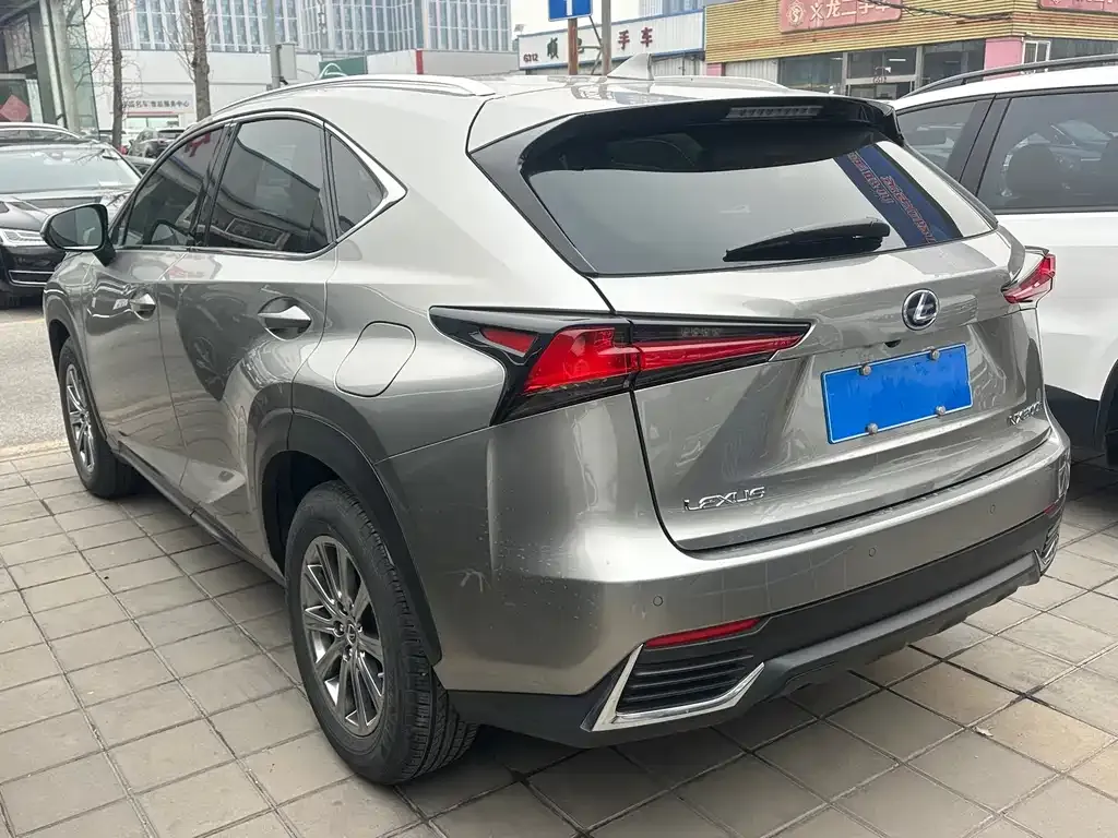Lexus NX 2021 из CN, фото 9