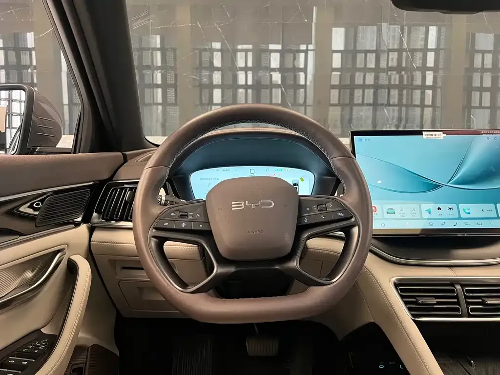 BYD PLUS New Energy 2025 из CN, фото 10
