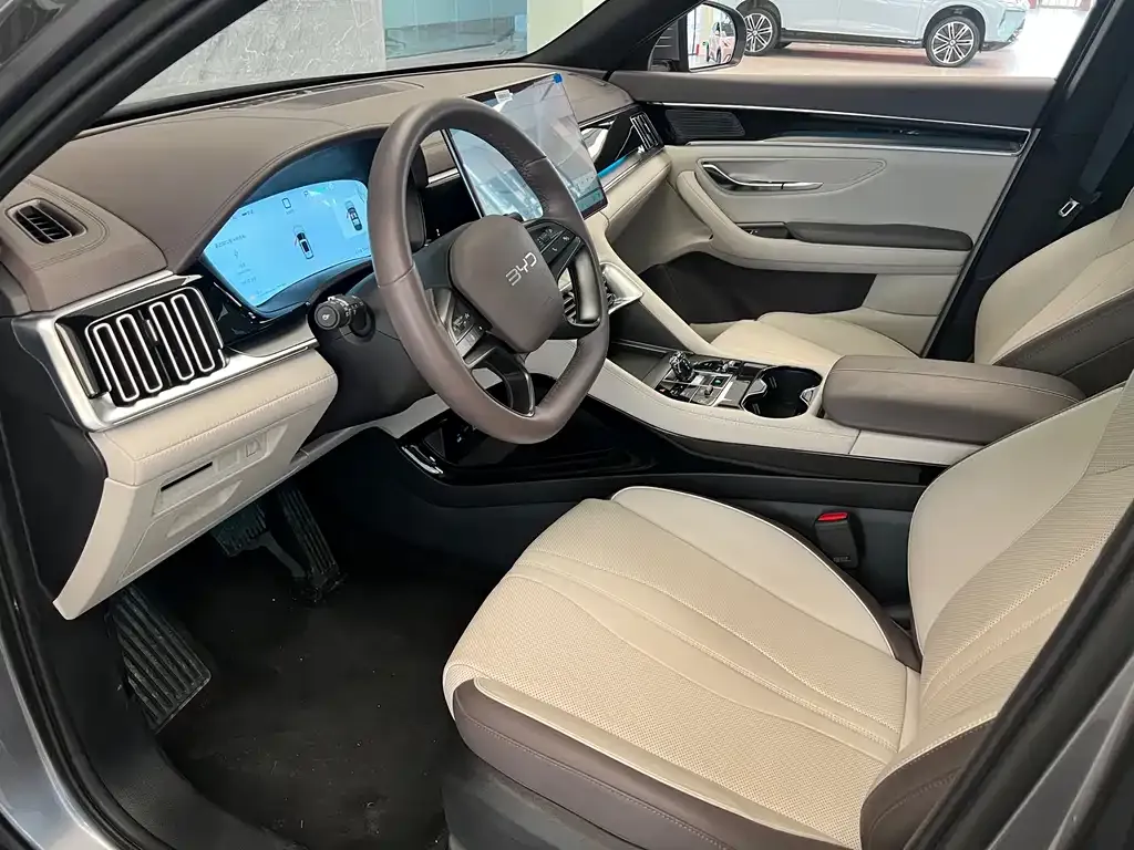 BYD PLUS New Energy 2025 из CN, фото 3