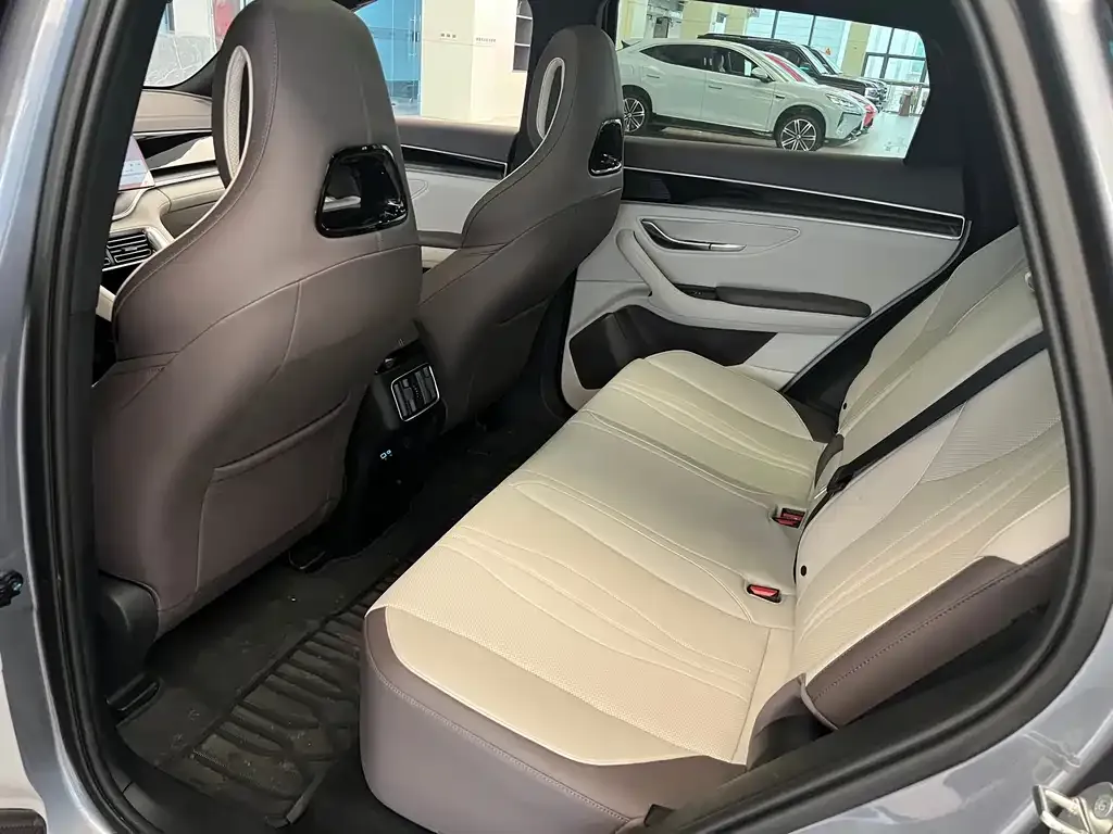 BYD PLUS New Energy 2025 из CN, фото 4