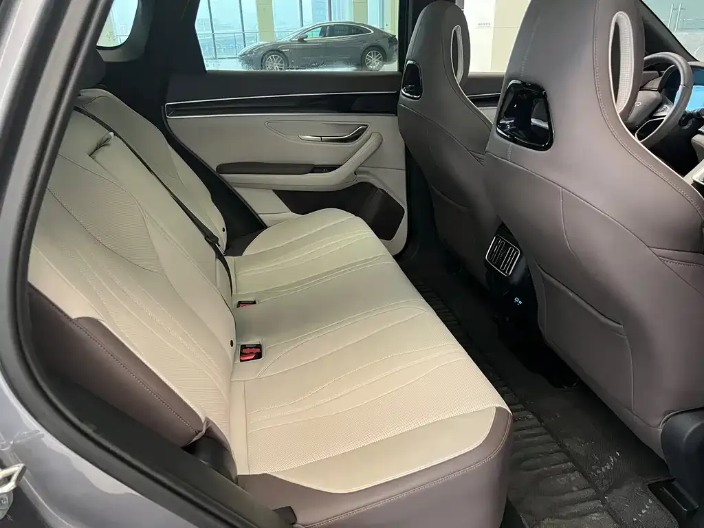 BYD PLUS New Energy 2025 из CN, фото 6