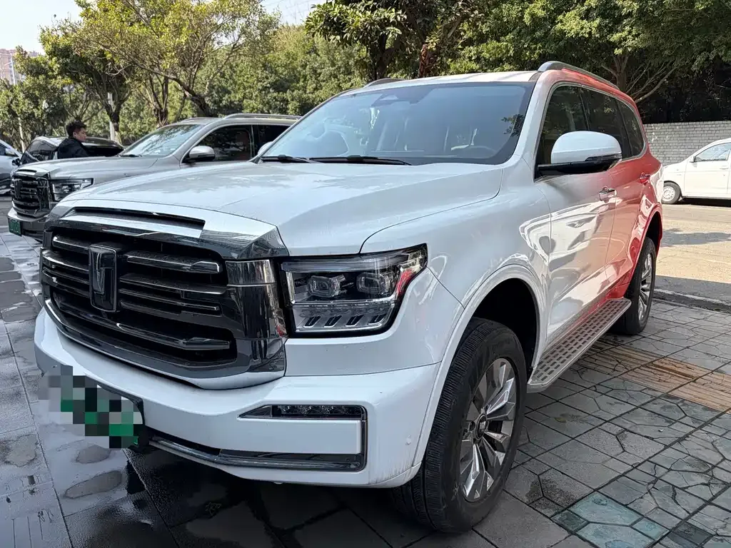 Tank 500 New Energy 2024 из CN, фото 1