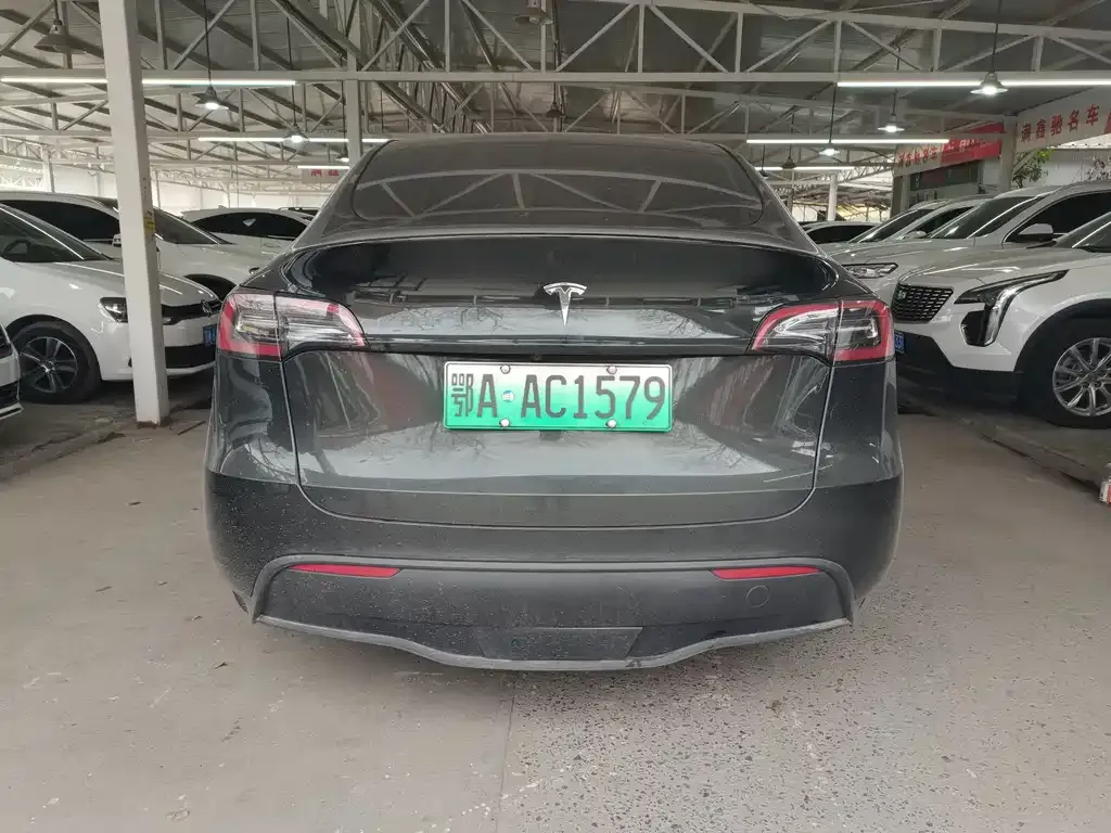 Tesla Model Y — фото 5