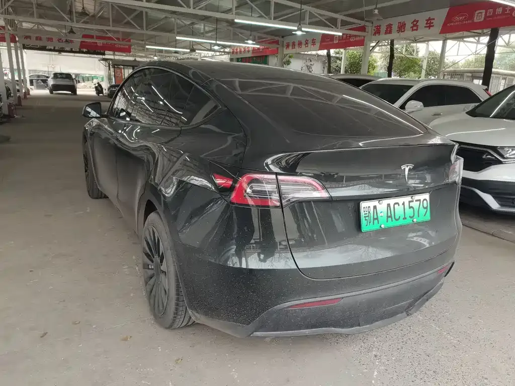 Tesla Model Y — фото 4