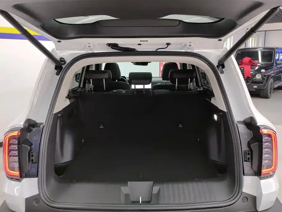 Haval Big Dog 2025 из CN, фото 4