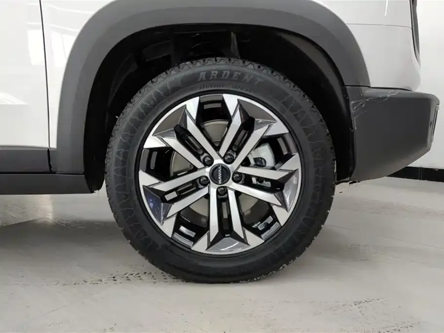 Haval Big Dog 2025 из CN, фото 2