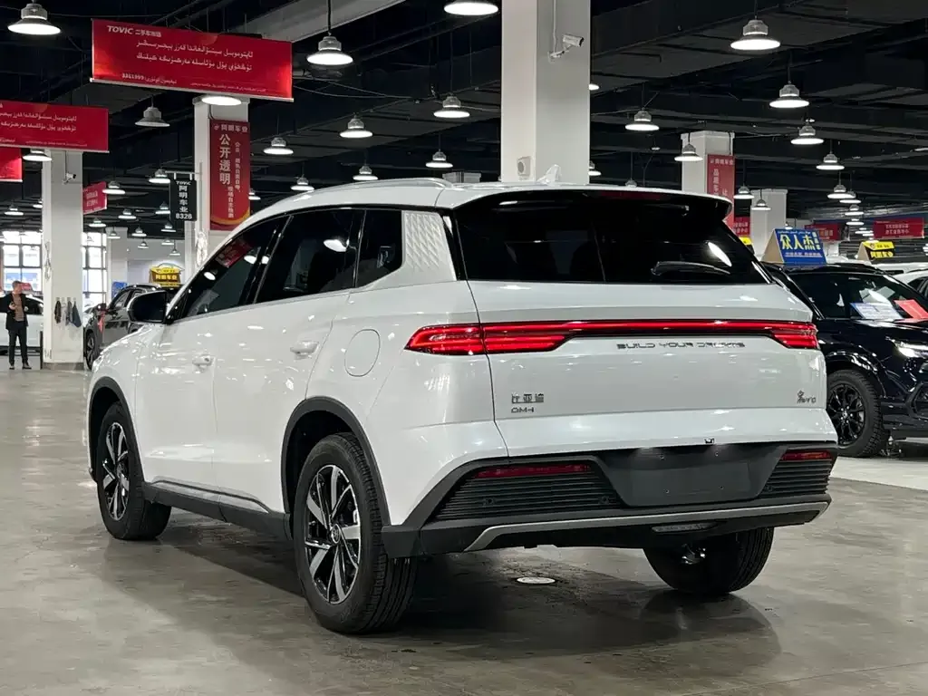 BYD Pro New Energy 2023 из CN, фото 4