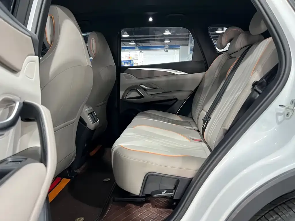 BYD Pro New Energy 2023 из CN, фото 3