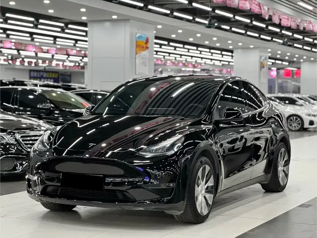 Tesla Model Y 2021 из CN, фото 1