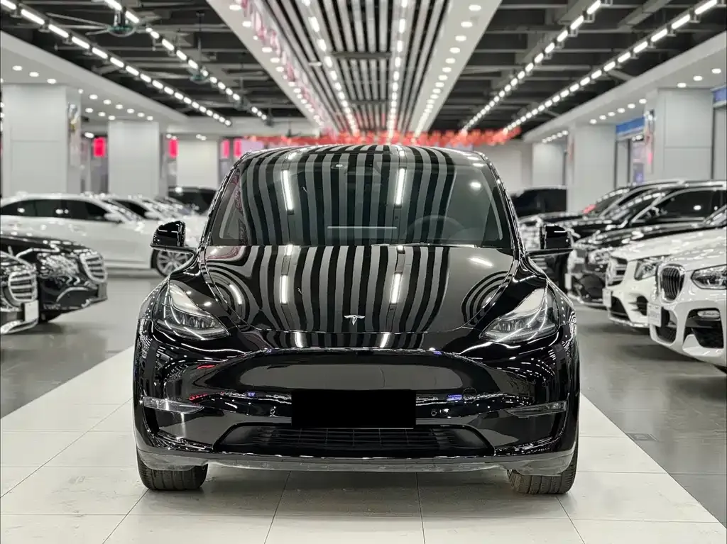 Tesla Model Y 2021 из CN, фото 6
