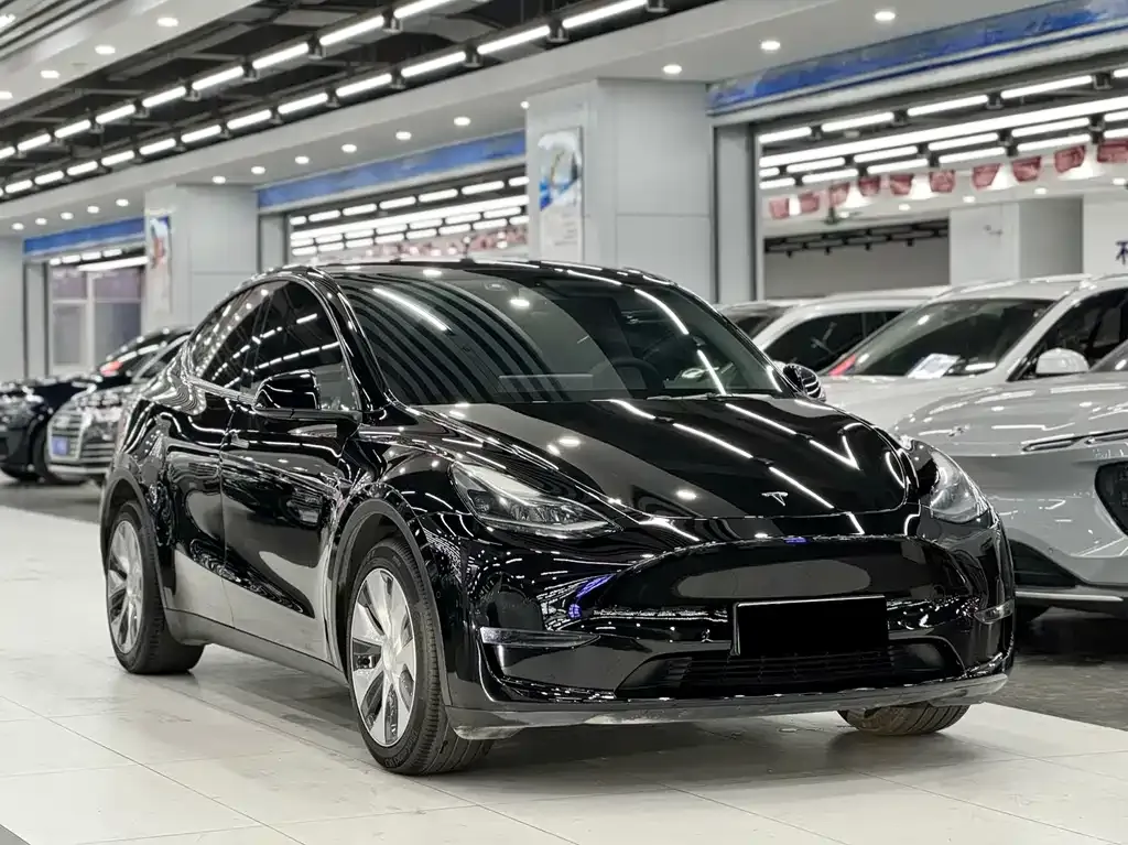 Tesla Model Y 2021 из CN, фото 10