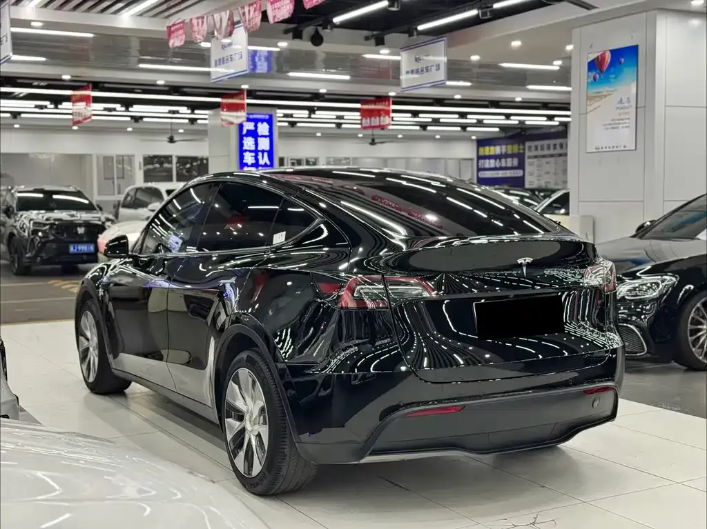 Tesla Model Y 2021 из CN, фото 9